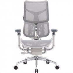 Крісло офісне Sihoo Doro S300 Mesh Light Grey (S300-M202)