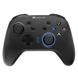 Геймпад бездротовий Canyon CND-GPW3 Black USB