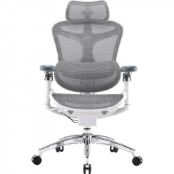 Крісло офісне Sihoo Doro C300 Pro Mesh White (DORO-C300-PRO-M102)