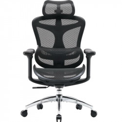 Крісло офісне Sihoo Doro C300L Mesh Black (DORO-C300L-A3-101)