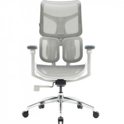 Крісло офісне Sihoo Doro S100 Mesh White (S100-M302)