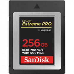 Карта пам`яті CFexpress (Type B) 256GB SanDisk Extreme Pro R1700/W1200MB/s (SDCFE-256G-GN4NN)