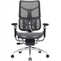 Крісло офісне Sihoo Doro S300 Mesh Dark Grey (S300-M201)